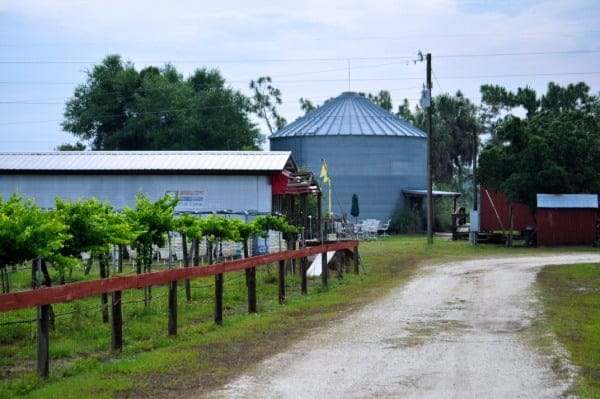 Henscratch Farms Vineyard & Winery