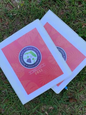 288664873_429724718741699_339209778144252068_n