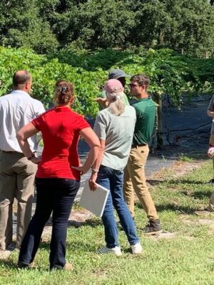 288853050_1061283304486313_8363405618814806991_n